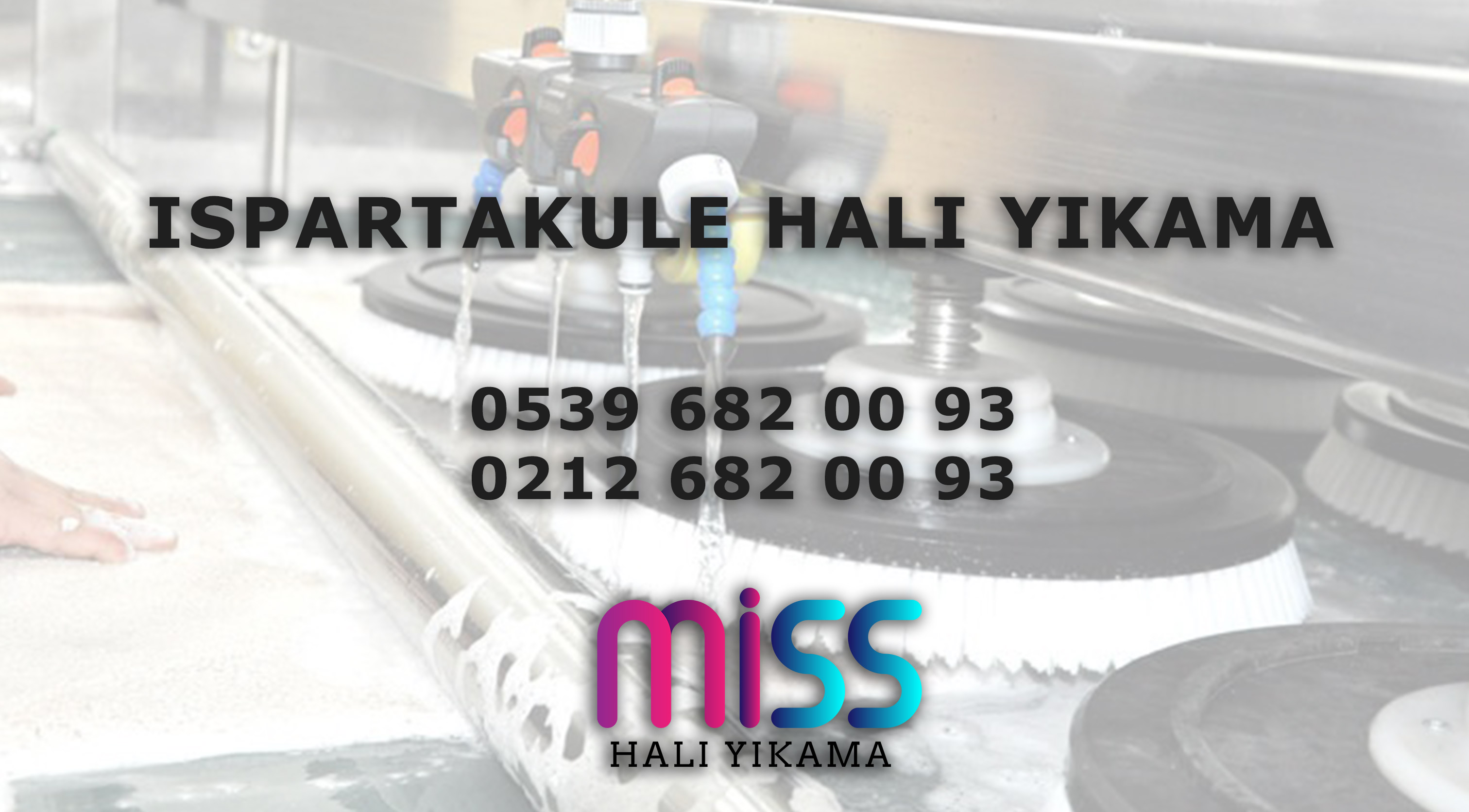 Ispartakule Halı Yıkama